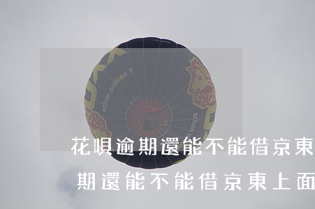 花唄逾期還能不能借京東上面的錢-花唄逾期還能不能借京東上面的錢呢