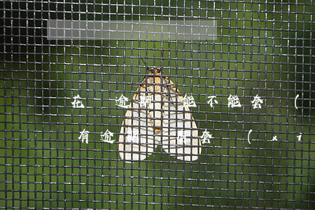 花唄逾期還能不能套現(xiàn)(花唄沒有逾期沒有套現(xiàn)為什么不能用了)
