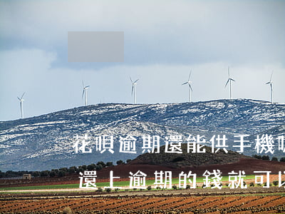 花唄逾期還能供手機嗎(花唄逾期的話是不是還上逾期的錢就可以了)