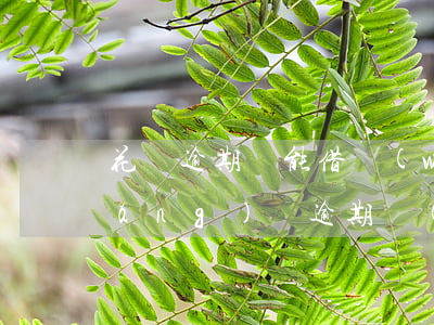 花唄逾期還能借網(wǎng)貸嗎(網(wǎng)貸逾期會(huì)影響支付寶的花唄借唄嗎?)