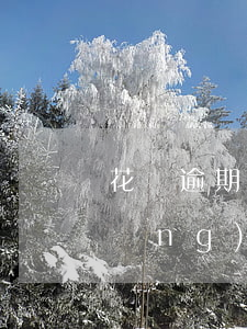 花唄逾期還能借網(wǎng)貸嗎(網(wǎng)貸逾期會影響支付寶的花唄借唄嗎?)