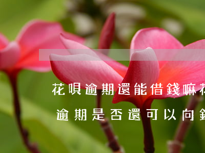 花唄逾期還能借錢嘛(花唄出現(xiàn)逾期,是否還可以向銀行貸款)