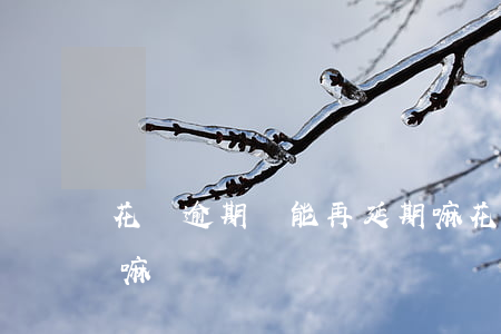 花唄逾期還能再延期嘛(花唄逾期還能再延期嘛)