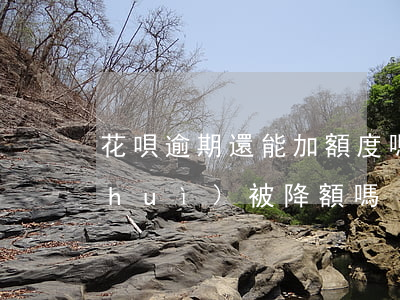 花唄逾期還能加額度嗎(花唄逾期信用卡會(huì)被降額嗎?)