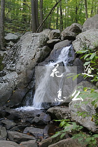 花唄逾期還能坐公交車嘛(花唄逾期幾年后話怎么樣影響坐車嗎多少錢會影響)