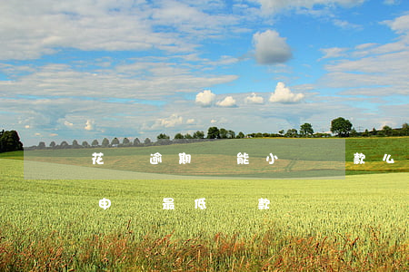 花唄逾期還能小額貸款么(花唄逾期了還可以申請最低還款嗎?)
