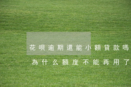 花唄逾期還能小額貸款嗎(花唄逾期后還款了為什么額度不能再用了)