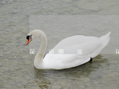 花唄逾期還能幫還嗎(花唄逾期還能幫還嗎)