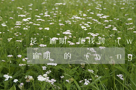 花唄逾期還能找到網(wǎng)貸嗎(花唄逾期別的網(wǎng)貸也無法使用是被拉黑了嗎)