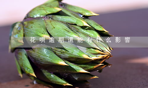 花唄逾期還能有什么影響