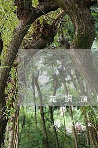 花唄逾期還能漲上去嗎(之前花唄逾期停掉了,現(xiàn)在恢復(fù)使用了還能提額嗎?)