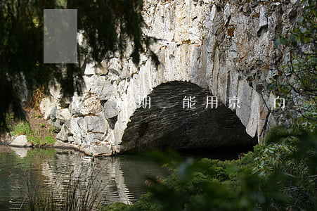 花唄逾期還能用京東白條嗎(京東白條能還花唄么)