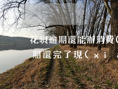 花唄逾期還能辦消費(fèi)貸嗎(花唄逾期還完了現(xiàn)在貸款買房子可以用嗎?)