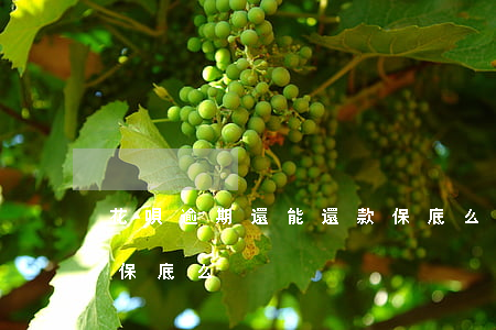 花唄逾期還能還款保底么(花唄逾期還能還款保底么)