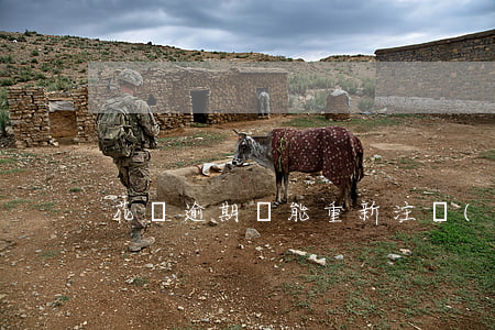 花唄逾期還能重新注冊(cè)嗎