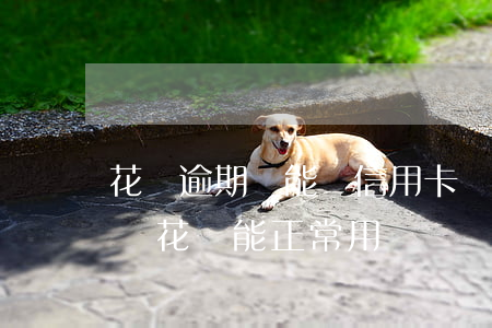 花唄逾期還能開信用卡嗎(信用卡逾期了支付寶花唄能正常用嗎)