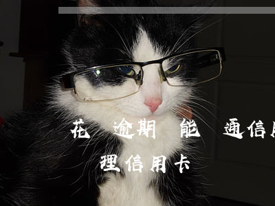 花唄逾期還能開通信用卡嘛 花唄逾期了還能辦理信用卡嗎