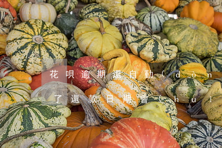 花唄逾期還自動(dòng)還錢嗎(花唄到了還款日期會(huì)自動(dòng)還款嗎)