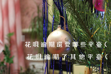 花唄逾期還要哪些平臺(tái)用(是不是花唄逾期了其他平臺(tái)也貸不了款)