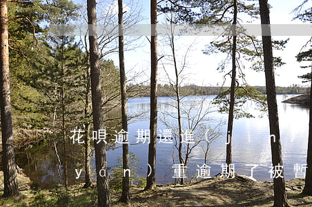 花唄逾期還進(jìn)去被封了(花唄嚴(yán)重逾期了被暫停使用要多久才能恢復(fù))