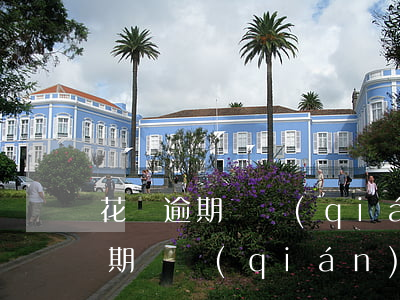 花唄逾期還錢(qián)多久能用(花唄逾期還錢(qián)多久能用)