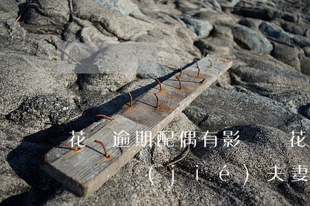 花唄逾期配偶有影響嗎(花唄逾期被起訴會不會凍結(jié)夫妻的存款)