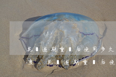 花唄逾期重開后使用多久會(huì)提額度-花唄逾期重開后使用多久會(huì)提額度呢