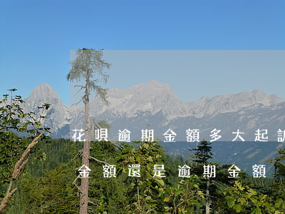 花唄逾期金額多大起訴(花唄逾期利息是按總金額還是逾期金額)