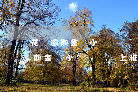 花唄逾期金額小時間長會上征信嗎-花唄逾期金額小時間長會上征信嗎知乎