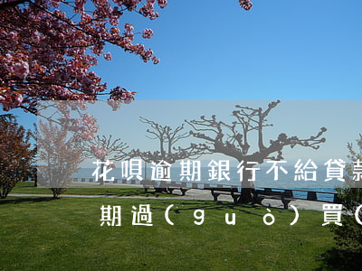 花唄逾期銀行不給貸款嗎(花唄借唄信用卡逾期過(guò),買(mǎi)房能貸款嗎)