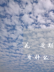 花唄逾期銀行可以貸款嗎(花唄信用卡逾期還有什么辦法貸款)