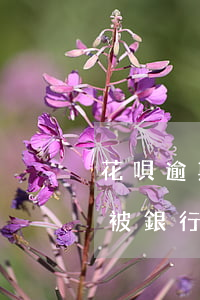花唄逾期銀行會(huì)處理嗎(花唄逾期被銀行起訴,確實(shí)還不起,怎么辦)