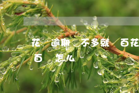 花唄逾期錢不多就幾百(花唄逾期錢不多就幾百塊怎么辦)