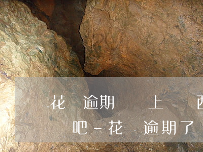 花唄逾期,閑魚上賣東西不會(huì)受影響吧-花唄逾期了,閑魚賣出去的東西怎么沒有收到貨款