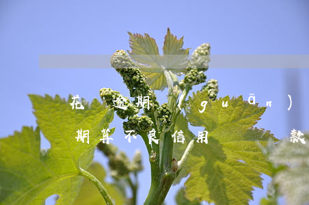 花唄逾期關(guān)乎信用度嗎(花唄逾期算不良信用嗎與貸款有關(guān)系嗎)