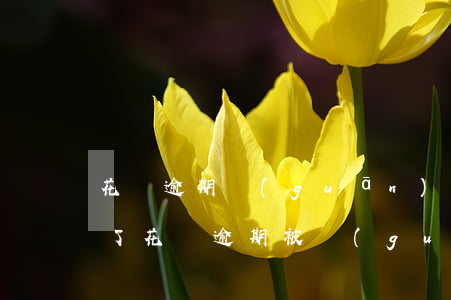 花唄逾期關(guān)了開(kāi)不了(花唄逾期被關(guān)了還能開(kāi)嗎?有沒(méi)有重新開(kāi)通的)