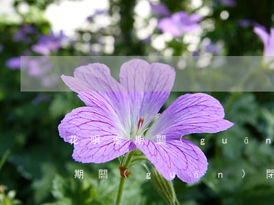 花唄逾期關(guān)閉多久能用(花唄逾期關(guān)閉多久能用)