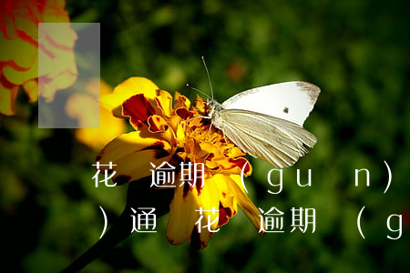 花唄逾期關(guān)閉怎么開(kāi)通嗎(花唄逾期關(guān)閉怎么開(kāi)通嗎)