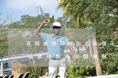 花唄逾期關停怎么恢復(花唄逾期被關閉怎么樣能快點再次開通啊)
