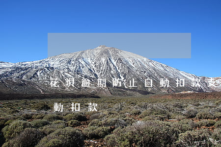 花唄逾期防止自動扣款(支付寶花唄逾期了自動扣款)