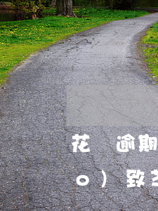 花唄逾期降低芝麻信用分(花唄逾期導(dǎo)致芝麻信用降低如何才能上升)