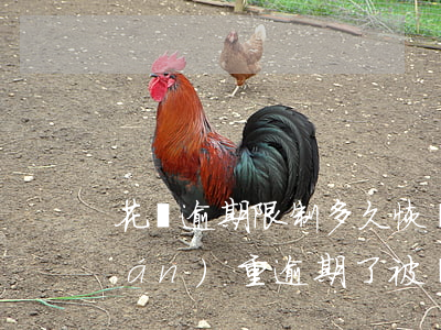 花唄逾期限制多久恢復(fù)(花唄嚴(yán)重逾期了被暫停使用要多久才能恢復(fù))
