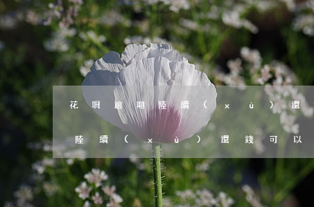 花唄逾期陸續(xù)還錢可以嗎(花唄逾期陸續(xù)還錢可以嗎)