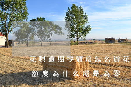 花唄逾期零額度怎么辦(花唄逾期最低還款后額度為什么還是為零)