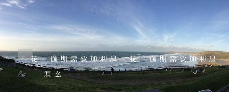 花唄逾期需要加利息嗎(花唄逾期需要加利息嗎怎么辦)