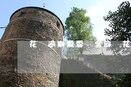 花唄逾期需要還全部嗎(花唄逾期需要還全部嗎)