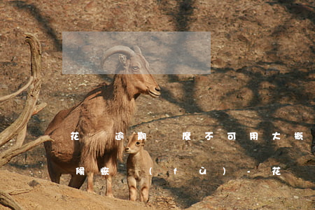 花唄逾期額度不可用,大概什么時(shí)候恢復(fù)-花唄逾期額度不可用,大概什么時(shí)候恢復(fù)使用