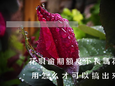 花唄逾期額度不長嗎(花唄逾期有額度不可以用怎么才可以搞出來)