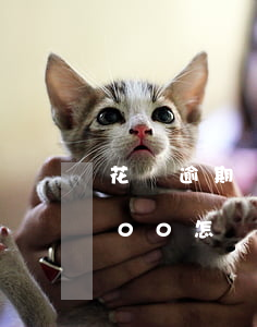 花唄逾期額度怎么提升(花唄逾期額度降到500怎樣才能提額)