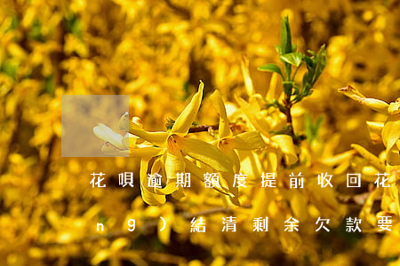 花唄逾期額度提前收回(花唄逾期已經(jīng)結清剩余欠款要求提前歸還)